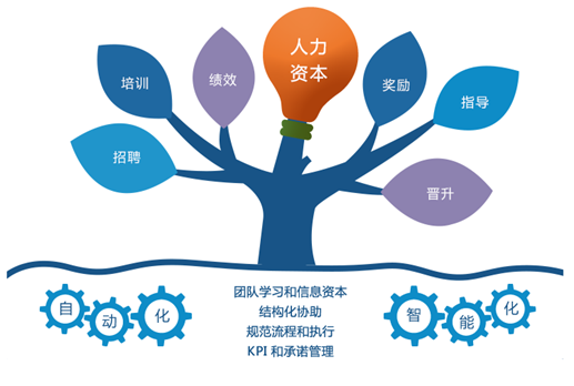 人力資源管理系統(tǒng)